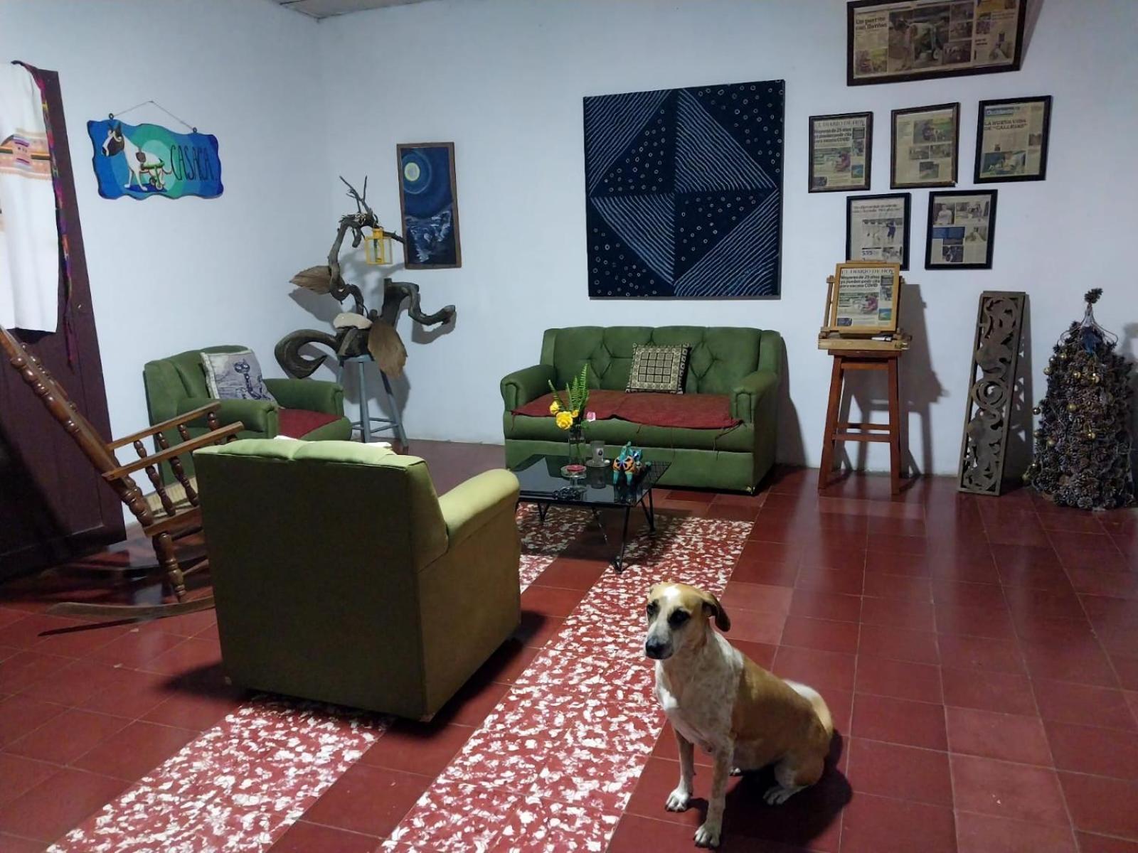 Casaca Daire Concepción de Ataco Dış mekan fotoğraf